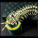 centipede model 3d metal games 