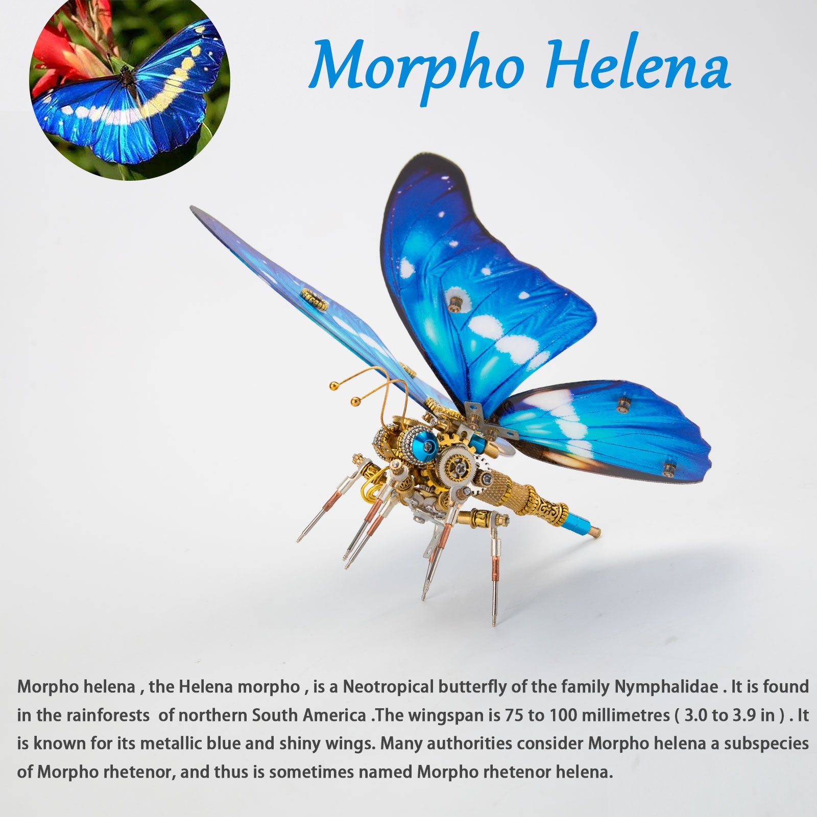 3D Metal Butterfly Model Kit, 3 In 1 Steampunk Butterfly (200PCS+/Blue) - Morpho Helena, Papilio Ulysses & Dichorragia Nesimachus