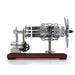 16 Cylinder Stirling Engine Double Tank Gas Powered Motor Stirling Engine Model Toy - enginediy