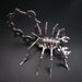 3D Metal Puzzle Scorpion Model Kit DIY Games Assembly Jigsaw Creative Gift - enginediy