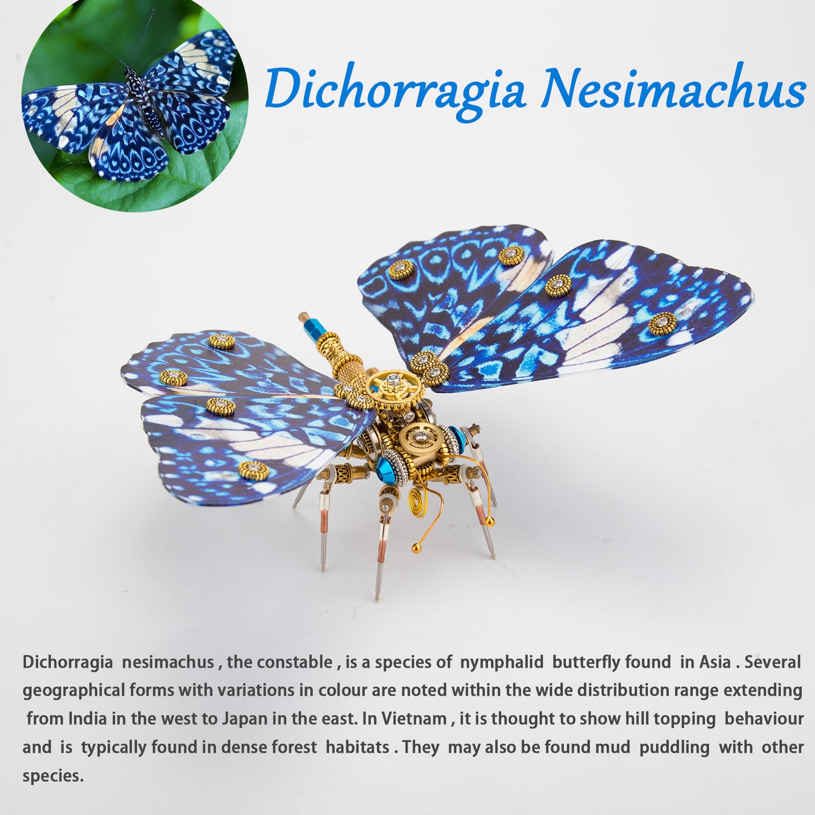 3D Metal Butterfly Model Kit, 3 In 1 Steampunk Butterfly (200PCS+/Blue) - Morpho Helena, Papilio Ulysses & Dichorragia Nesimachus