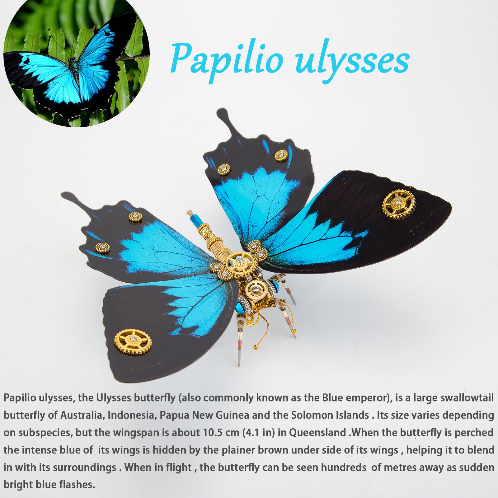 3D Metal Butterfly Model Kit, 3 In 1 Steampunk Butterfly (200PCS+/Blue) - Morpho Helena, Papilio Ulysses & Dichorragia Nesimachus